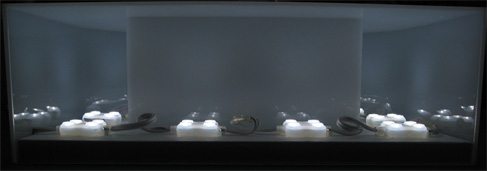 LED���Ɩ��������ʐ^